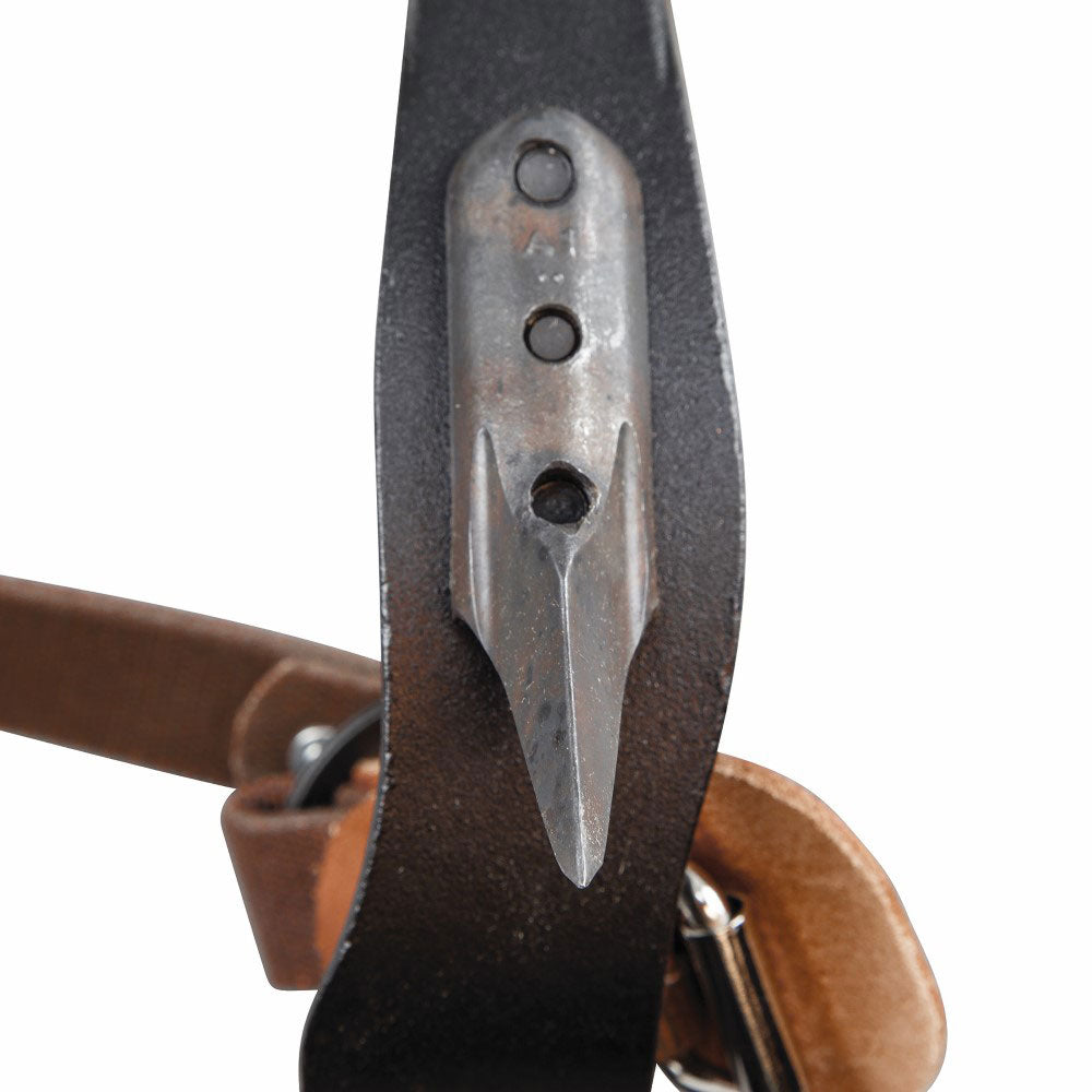 Klein Hydra - Cool Pole and Tree Climbing System 221486